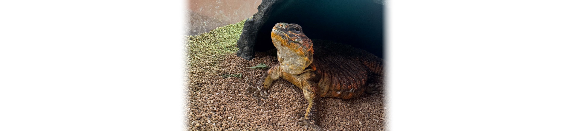 院長・スタッフ